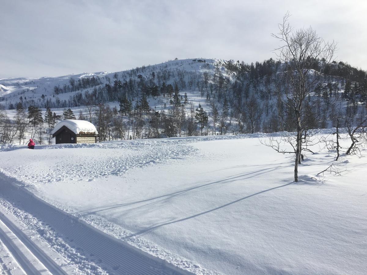 Kvamseter Lodge Eikedalen Extérieur photo